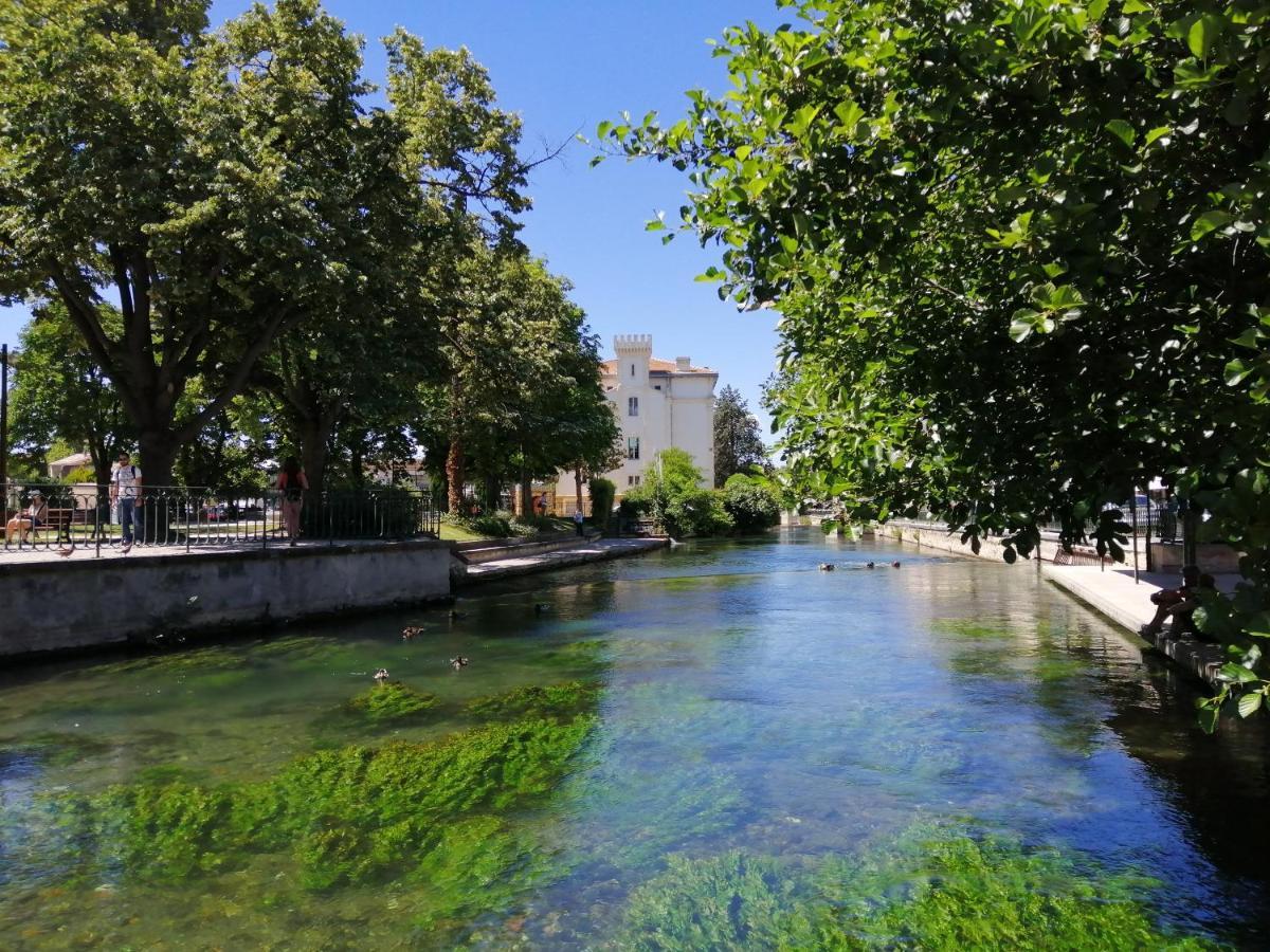 Le Petit Studio - 15 M2 - Centre Ville - Sorgue A 50 M LʼIsle-sur-la-Sorgue المظهر الخارجي الصورة
